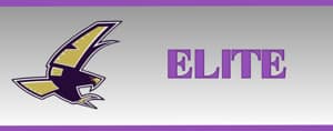 Falcon Elite Level