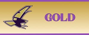 Falcon Gold Level