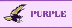 Falcon Purple Level