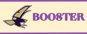 Falcon Booster Level