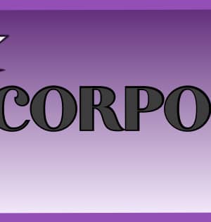Corporate Level Sponsorship