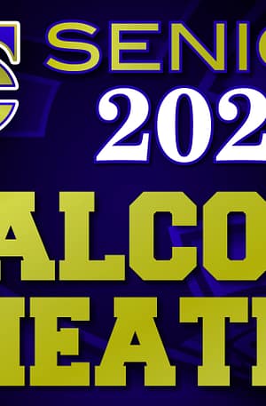 Falcon Theatre Yard Sign (Senior)