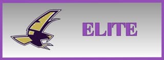 Falcon Elite Level