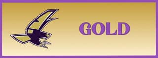 Falcon Gold Level