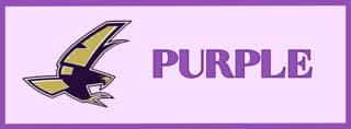 Falcon Purple Level